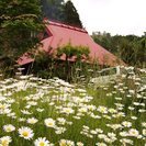 ●美山近くの古民家コミュニティ♪楽しく癒やされたい方、古民家に住...