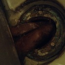 [助けて/教えてください]緊急！排水溝の詰まりの直し方