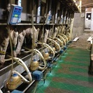 酪農ヘルパー募集（社保完備です）の画像