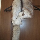 きつねの襟巻き？ティペット？？