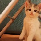 たくさんの問い合わせありがとうございました。
