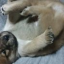 最近産まれました。