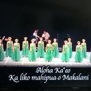 大日フラAloha Hulaの画像
