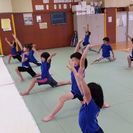 子供の体操教室の画像