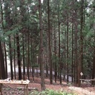 OUTDOOR部\( ¨̮ )/