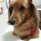 よろしくお願い致します！