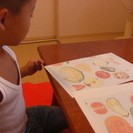 教科書執筆陣推薦　現代書道教室の画像