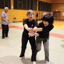 合気武術 仙心会の画像