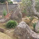 庭石差し上げます。