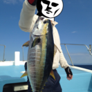 オフショアジギング仲間募集
