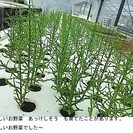 ポタジェ　家庭菜園仲間　大集合～