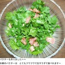 ポタジェ　家庭菜園仲間　大集合～ - 守山市