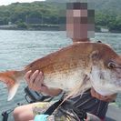 ジギング・エギング（ティップラン）・タイラバ　釣り仲間募集！