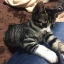 里親さん決まりました