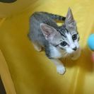 大事にしてくれる方