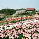 花と緑のある暮らし写真展: 参加募集