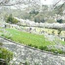 岩出花博 2016 春  :  出店募集