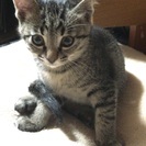 家族になってくれる方が見つかりました。