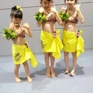 フラダンス随時生徒募集！の画像