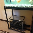 金魚3匹 水槽他 - 犬山市