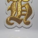 2016年度新規メンバー募集