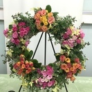 2月花創人ガーデニング教室　【プリムラジュリアンのリース】