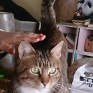 里親さん決定しました。