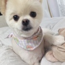 人懐っこい男の子です。
