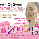 美肌教室（初級編3回）+フェイシャルエステ1回が3240円でご利用いただけます♪の画像