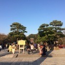 23日、プチ撮影会in鎌倉！ - 横浜市
