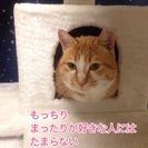 里親様 決定しました。