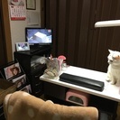 プライベートネイルサロンMATAHARI