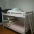 女性専用‼️初期費用０円‼️水道光熱費込みで35000円！駅ちか！ゲストハウス　ドミトリー - 台東区