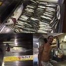 釣り仲間募集 