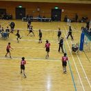 小学生の男子バレー部員募集