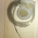 森岡静江　書の教室「青鳥会」新大久保教室の画像