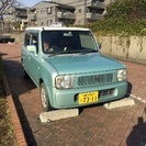 調子良し、ツートンラパン＊募集多数につき一旦停止致します。の画像