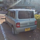 調子良し、ツートンラパン＊募集多数につき一旦停止致します。の画像