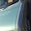 調子良し、ツートンラパン＊募集多数につき一旦停止致します。の画像