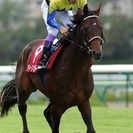 競馬仲間を作りたい！！