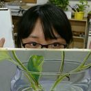 芸大、美大受験指導＆一般絵画教室の画像