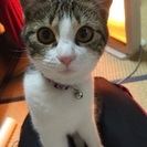 たくさんのお問い合わせありがとうございました！この度、優しい里親...