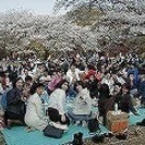 40代が中心の社会人サークル　メンバー募集中！ - 友達