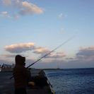 釣り仲間募集