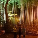 杉並&中野ランニングクラブ(SNR)　メンバー募集 − 東京都