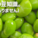 世界最高の豆知識 アップデートブレーン