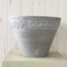 花びらがピカピカ光るラナンキュラスで春のギャザリング／3月花創人ガーデニング教室の画像