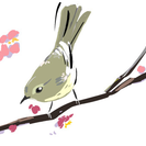 イラスト素材集CDの画像