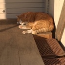 写真撮るの好きな方募集