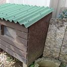 (決まりました) 犬小屋をの画像